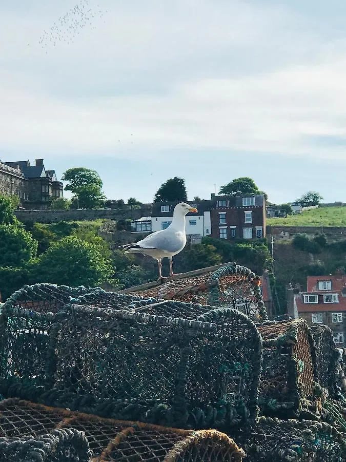Low Tide Whitby Appartement